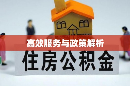 华龙高效服务与政策解析