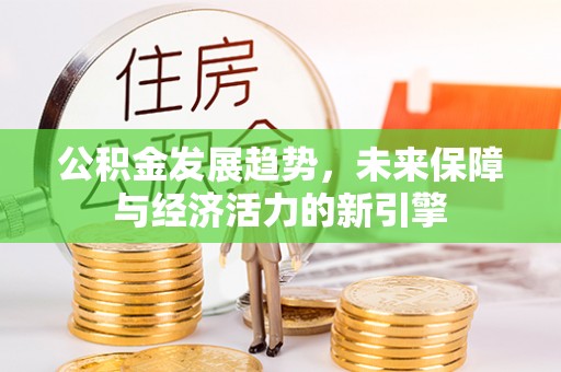 华龙公积金发展趋势，未来保障与经济活力的新引擎