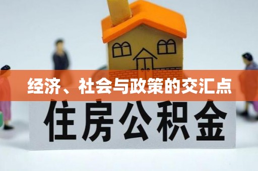 华龙经济、社会与政策的交汇点