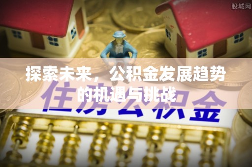 华龙探索未来，公积金发展趋势的机遇与挑战