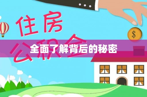 华龙全面了解背后的秘密
