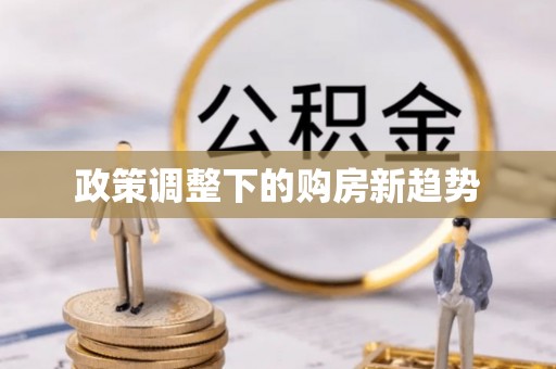 华龙政策调整下的购房新趋势