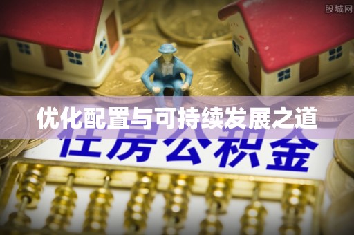 华龙优化配置与可持续发展之道