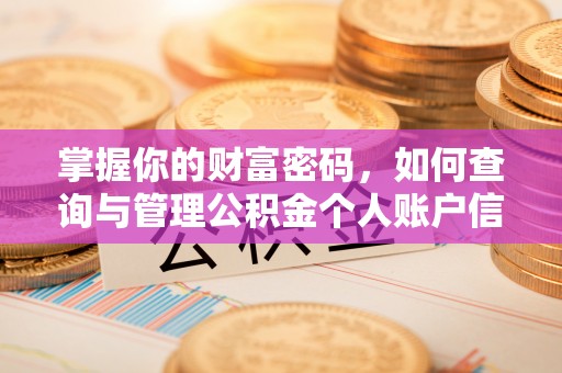 华龙掌握你的财富密码，如何查询与管理公积金个人账户信息