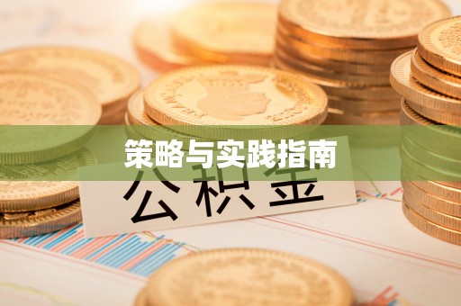华龙策略与实践指南
