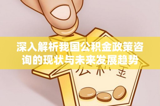 华龙深入解析我国公积金政策咨询的现状与未来发展趋势