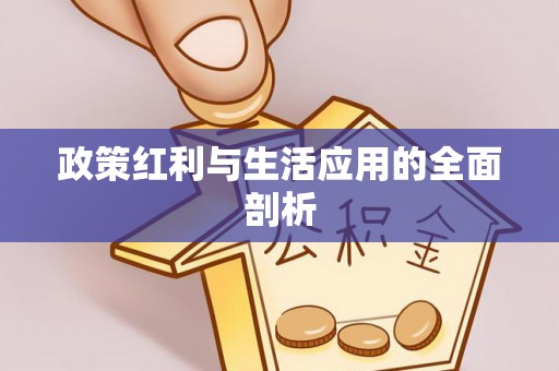 华龙政策红利与生活应用的全面剖析