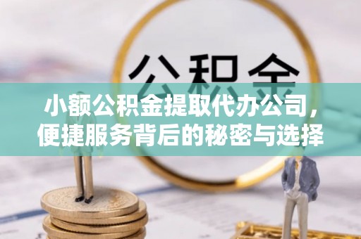 华龙小额公积金提取代办公司，便捷服务背后的秘密与选择指南