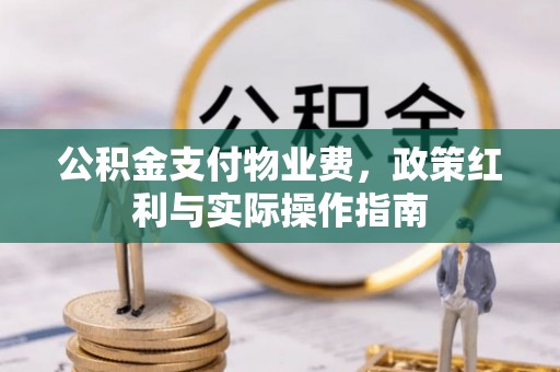 华龙公积金支付物业费，政策红利与实际操作指南