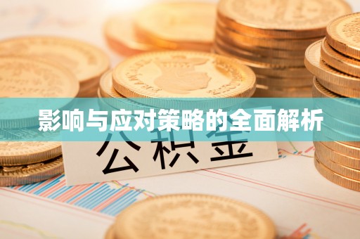 华龙影响与应对策略的全面解析