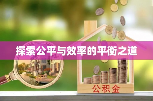 华龙探索公平与效率的平衡之道