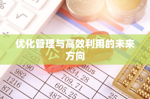 华龙优化管理与高效利用的未来方向