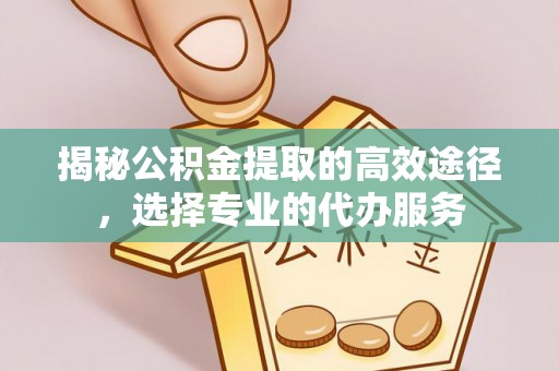 华龙揭秘公积金提取的高效途径，选择专业的代办服务