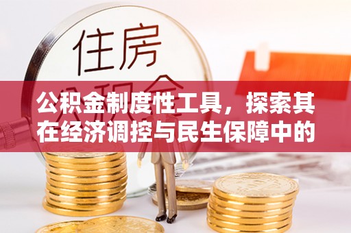 华龙公积金制度性工具，探索其在经济调控与民生保障中的重要作用