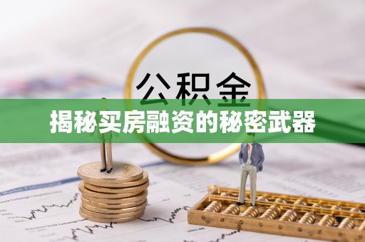 华龙揭秘买房融资的秘密武器