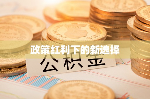 华龙政策红利下的新选择