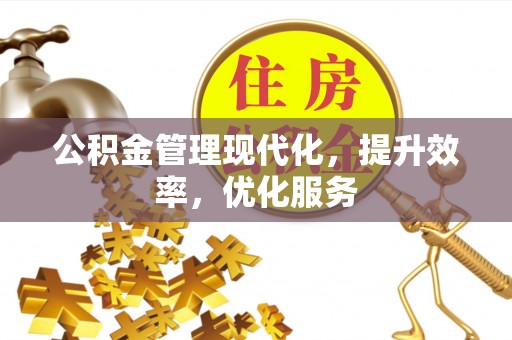 华龙公积金管理现代化，提升效率，优化服务