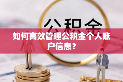 华龙如何高效管理公积金个人账户信息？