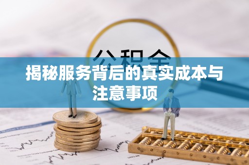 华龙揭秘服务背后的真实成本与注意事项