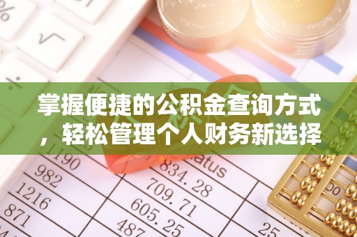 华龙掌握便捷的公积金查询方式，轻松管理个人财务新选择