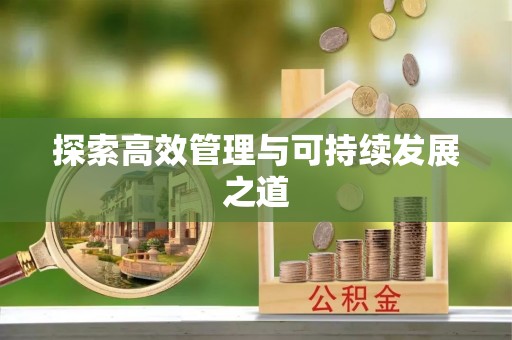 华龙探索高效管理与可持续发展之道