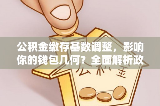 华龙公积金缴存基数调整，影响你的钱包几何？全面解析政策与实际收益