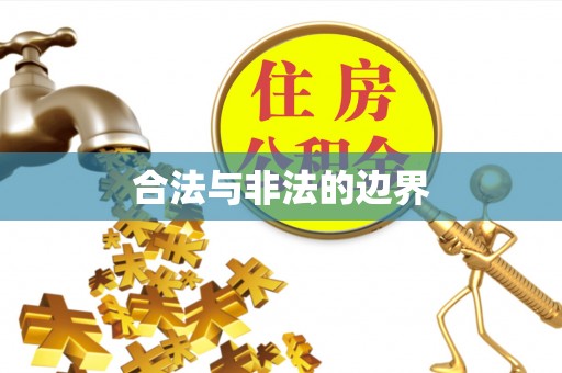 华龙合法与非法的边界