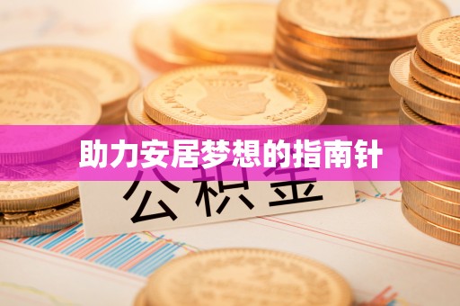 华龙助力安居梦想的指南针