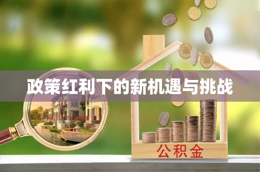 华龙政策红利下的新机遇与挑战
