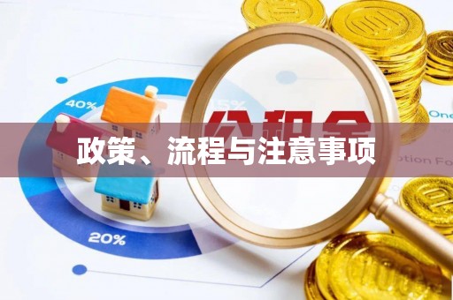 华龙政策、流程与注意事项