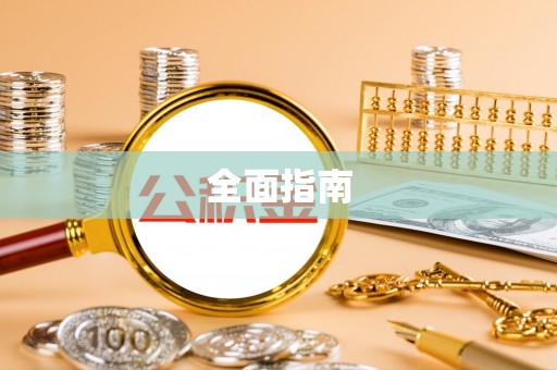 华龙全面指南