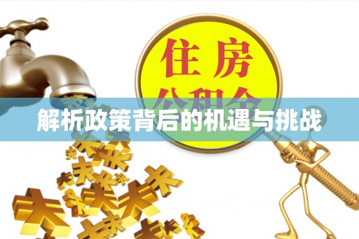 华龙解析政策背后的机遇与挑战