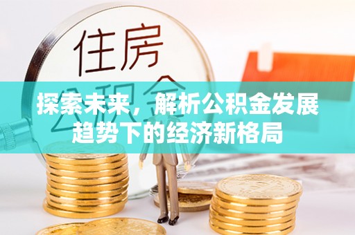 华龙探索未来，解析公积金发展趋势下的经济新格局
