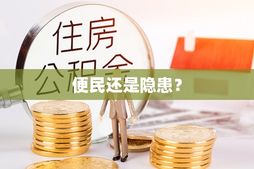 华龙便民还是隐患？