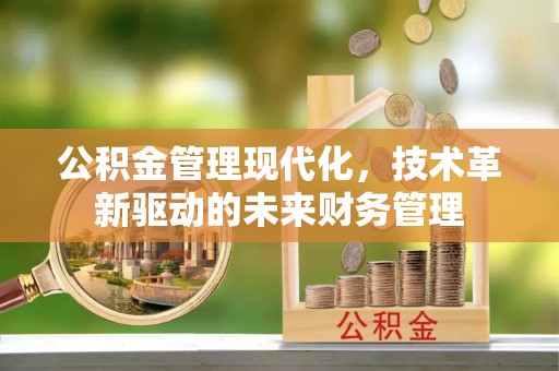 华龙公积金管理现代化，技术革新驱动的未来财务管理