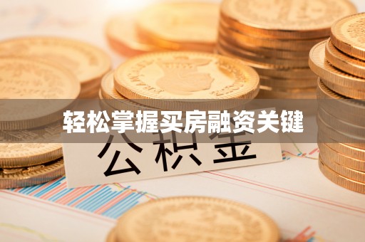 华龙轻松掌握买房融资关键