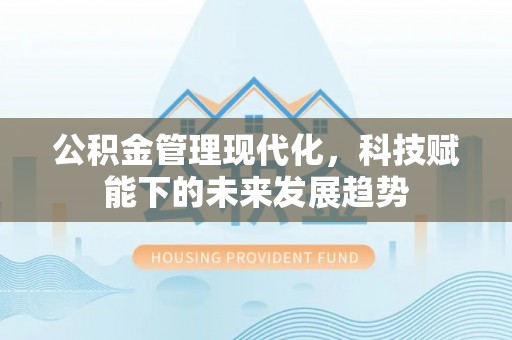 华龙公积金管理现代化，科技赋能下的未来发展趋势