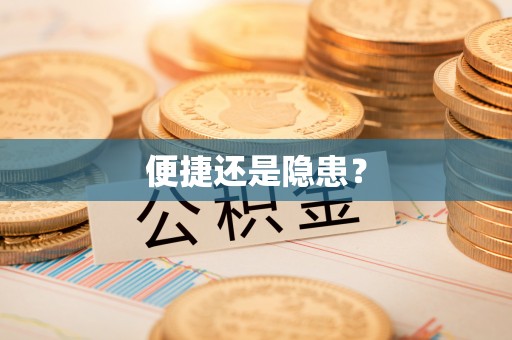 华龙便捷还是隐患？