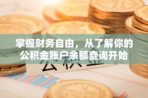 华龙掌握财务自由，从了解你的公积金账户余额查询开始