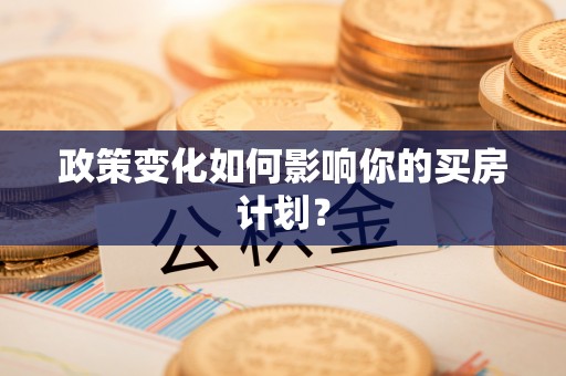 华龙政策变化如何影响你的买房计划？