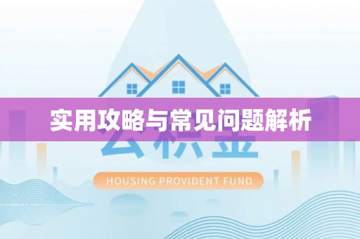 华龙实用攻略与常见问题解析