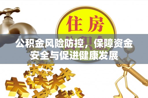 华龙公积金风险防控，保障资金安全与促进健康发展