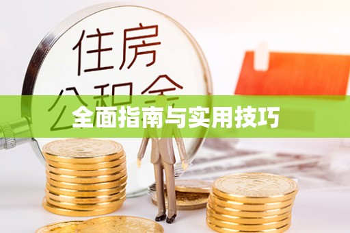 华龙全面指南与实用技巧