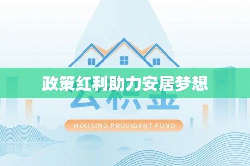 华龙政策红利助力安居梦想