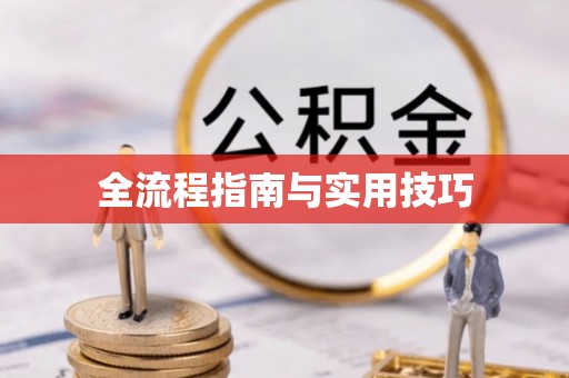 华龙全流程指南与实用技巧