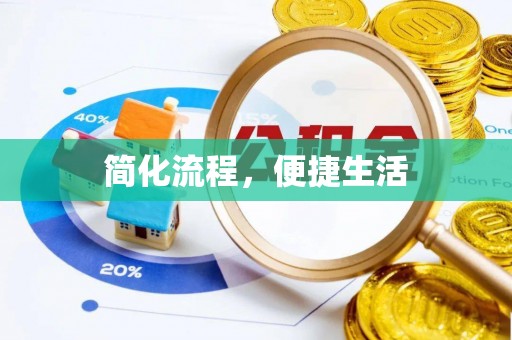华龙简化流程，便捷生活