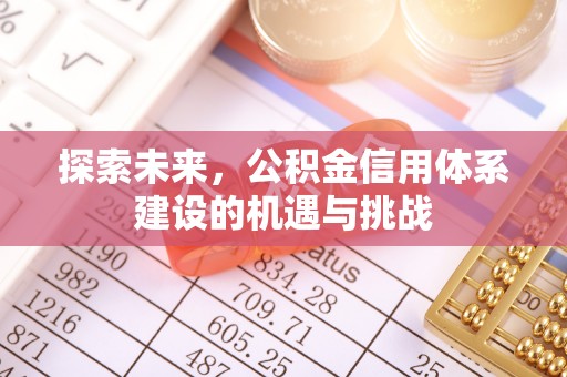 华龙探索未来，公积金信用体系建设的机遇与挑战