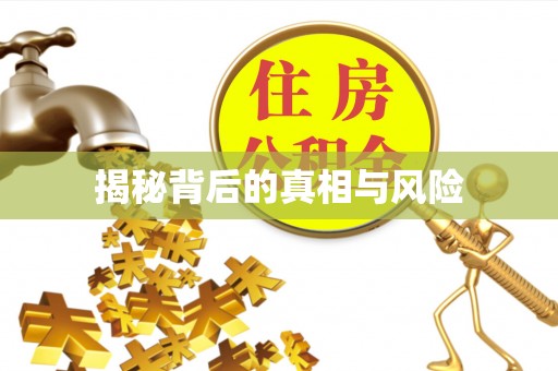 华龙揭秘背后的真相与风险