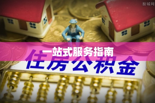 华龙一站式服务指南