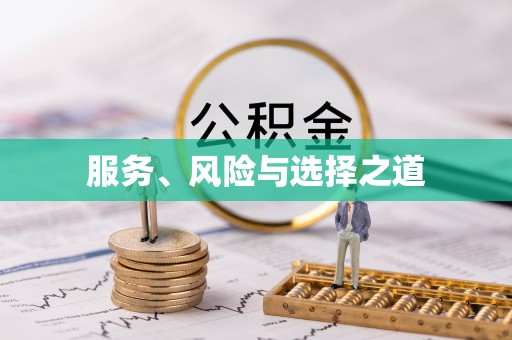 华龙服务、风险与选择之道